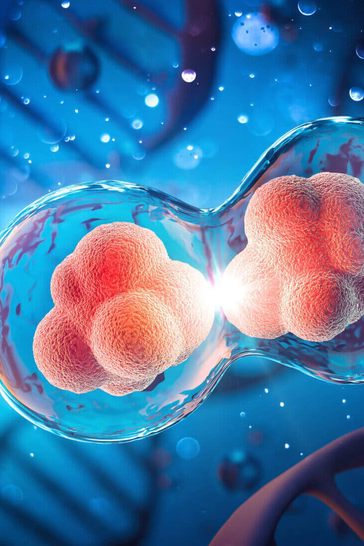 Human Cell Division Under A Microscope. Cellular Therapy. 3d Ill