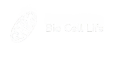 White Logo